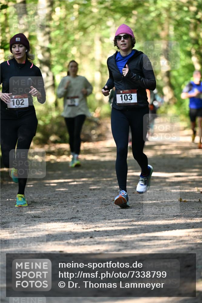 06.10.2024 - Bramfelder Halbmarathon 2024 Dr. Thomas Lammeyer http://msf.ph/oto/7338799 06.10.2024 10:28:47 Laufen 102, 103 meine-sportfotos.de