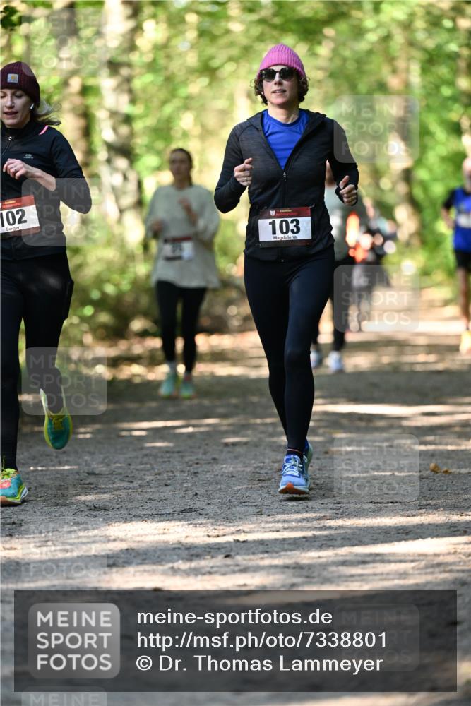06.10.2024 - Bramfelder Halbmarathon 2024 Dr. Thomas Lammeyer http://msf.ph/oto/7338801 06.10.2024 10:28:47 Laufen 102, 103 meine-sportfotos.de