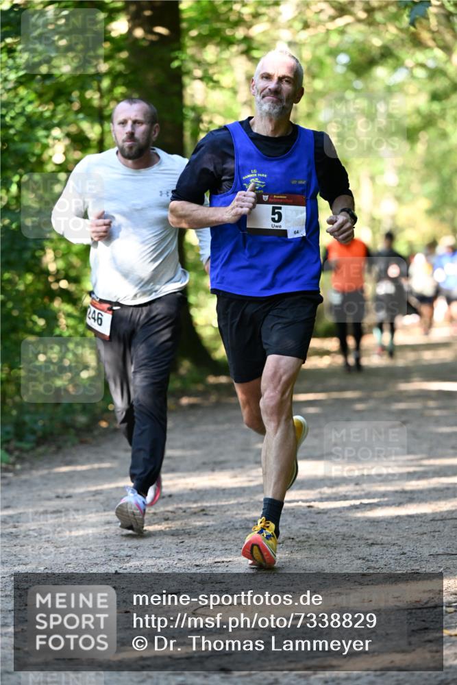 06.10.2024 - Bramfelder Halbmarathon 2024 Dr. Thomas Lammeyer http://msf.ph/oto/7338829 06.10.2024 10:28:54 Laufen 246, 5, 64 meine-sportfotos.de