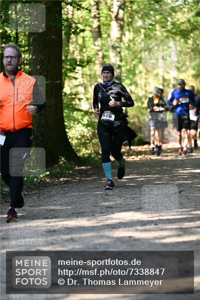 06.10.2024 - Bramfelder Halbmarathon 2024 Dr. Thomas Lammeyer http://msf.ph/oto/7338847 06.10.2024 10:28:59 Laufen 526 meine-sportfotos.de