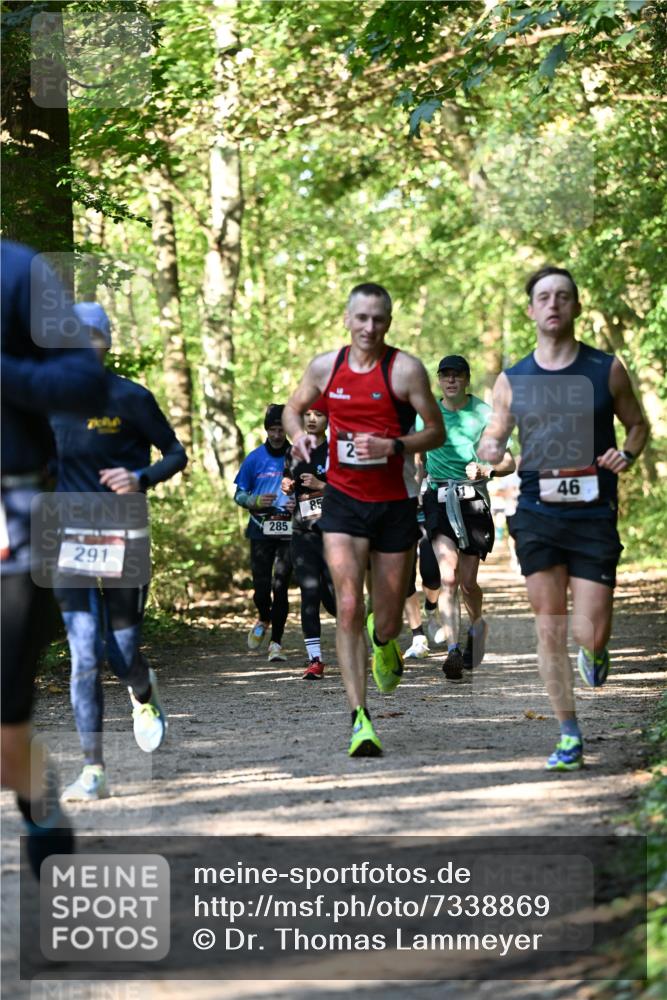 06.10.2024 - Bramfelder Halbmarathon 2024 Dr. Thomas Lammeyer http://msf.ph/oto/7338869 06.10.2024 10:29:09 Laufen 291, 285, 85, 46 meine-sportfotos.de