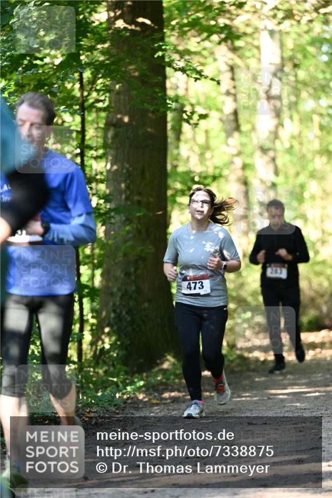 06.10.2024 - Bramfelder Halbmarathon 2024 Dr. Thomas Lammeyer http://msf.ph/oto/7338875 06.10.2024 10:29:15 Laufen 473 meine-sportfotos.de