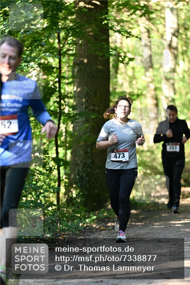 06.10.2024 - Bramfelder Halbmarathon 2024 Dr. Thomas Lammeyer http://msf.ph/oto/7338877 06.10.2024 10:29:15 Laufen 52, 473, 151 meine-sportfotos.de