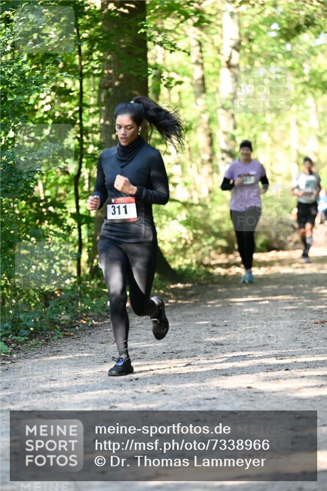 06.10.2024 - Bramfelder Halbmarathon 2024 Dr. Thomas Lammeyer http://msf.ph/oto/7338966 06.10.2024 10:29:35 Laufen 311 meine-sportfotos.de
