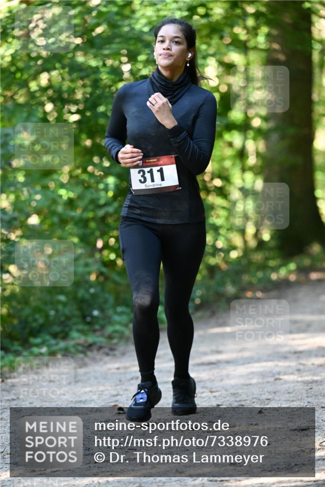 06.10.2024 - Bramfelder Halbmarathon 2024 Dr. Thomas Lammeyer http://msf.ph/oto/7338976 06.10.2024 10:29:36 Laufen 311 meine-sportfotos.de