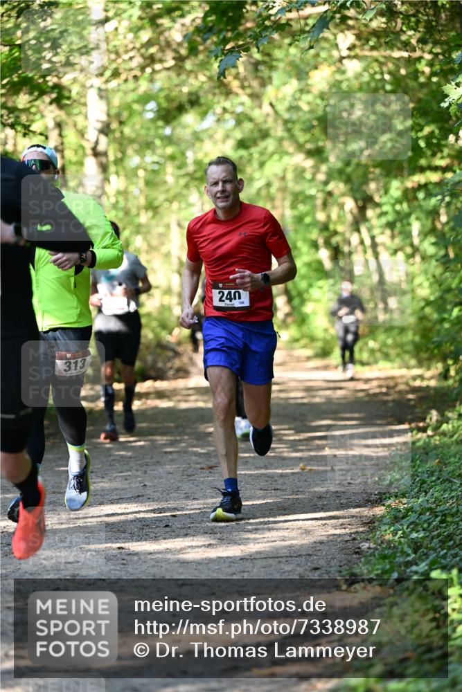 06.10.2024 - Bramfelder Halbmarathon 2024 Dr. Thomas Lammeyer http://msf.ph/oto/7338987 06.10.2024 10:29:41 Laufen 313, 240, 106 meine-sportfotos.de