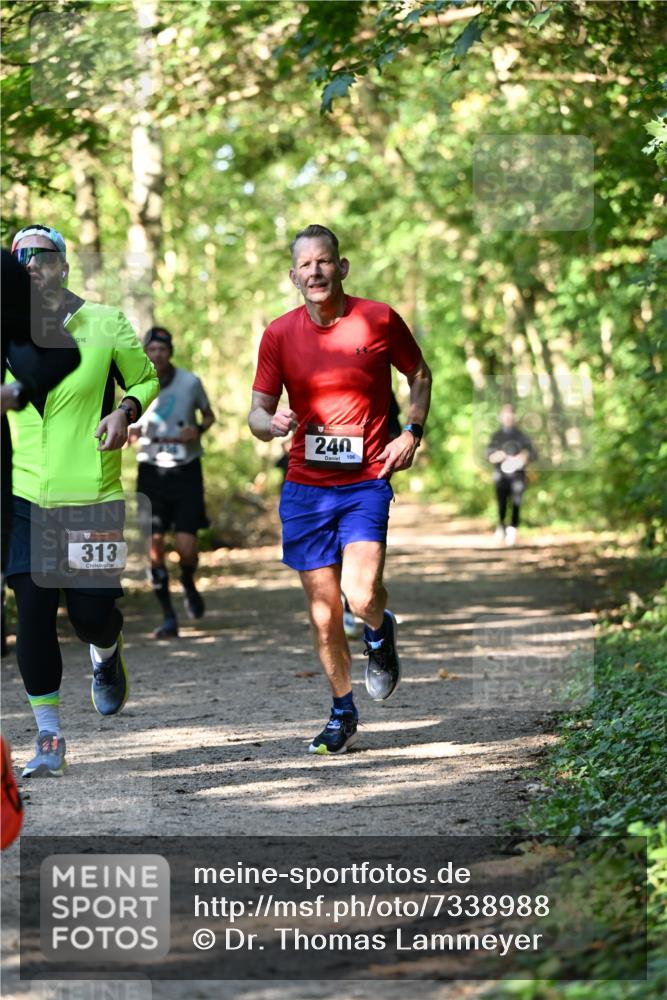 06.10.2024 - Bramfelder Halbmarathon 2024 Dr. Thomas Lammeyer http://msf.ph/oto/7338988 06.10.2024 10:29:41 Laufen 313, 240, 106 meine-sportfotos.de