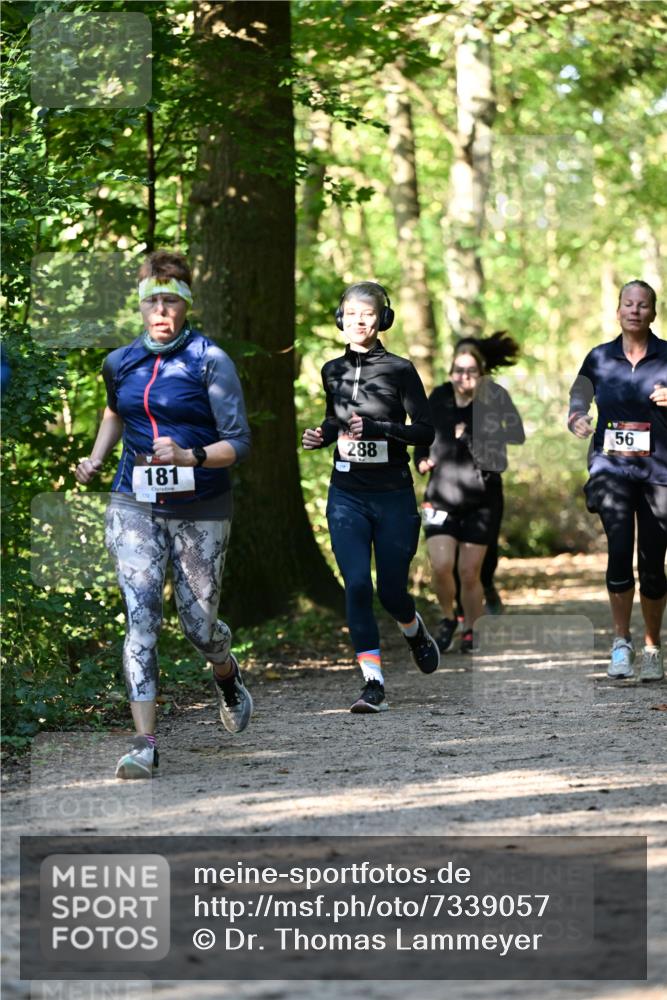 06.10.2024 - Bramfelder Halbmarathon 2024 Dr. Thomas Lammeyer http://msf.ph/oto/7339057 06.10.2024 10:29:57 Laufen 181, 288, 56 meine-sportfotos.de