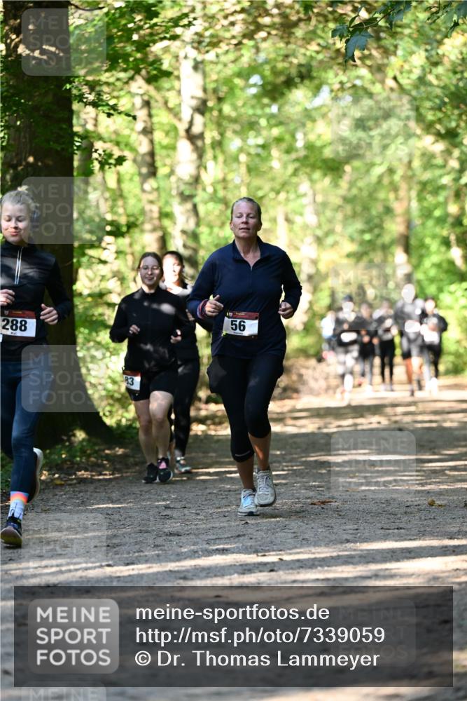 06.10.2024 - Bramfelder Halbmarathon 2024 Dr. Thomas Lammeyer http://msf.ph/oto/7339059 06.10.2024 10:29:58 Laufen 288, 83, 56 meine-sportfotos.de