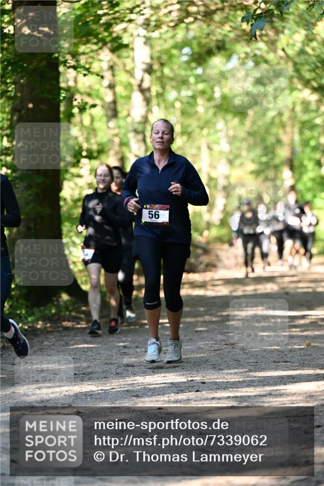 06.10.2024 - Bramfelder Halbmarathon 2024 Dr. Thomas Lammeyer http://msf.ph/oto/7339062 06.10.2024 10:29:59 Laufen 56 meine-sportfotos.de
