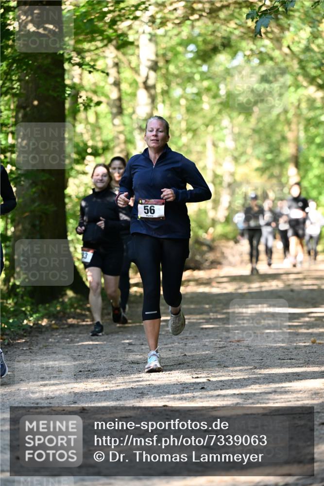 06.10.2024 - Bramfelder Halbmarathon 2024 Dr. Thomas Lammeyer http://msf.ph/oto/7339063 06.10.2024 10:29:59 Laufen 56 meine-sportfotos.de
