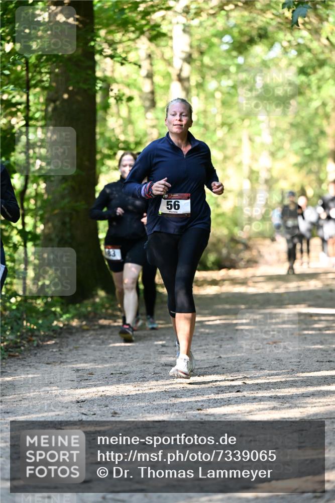 06.10.2024 - Bramfelder Halbmarathon 2024 Dr. Thomas Lammeyer http://msf.ph/oto/7339065 06.10.2024 10:29:59 Laufen 56 meine-sportfotos.de