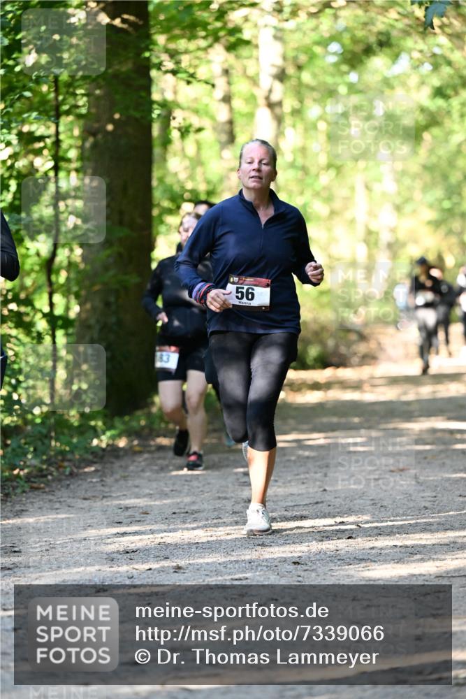 06.10.2024 - Bramfelder Halbmarathon 2024 Dr. Thomas Lammeyer http://msf.ph/oto/7339066 06.10.2024 10:29:59 Laufen 183, 56 meine-sportfotos.de