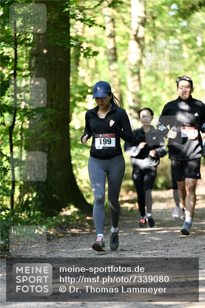 06.10.2024 - Bramfelder Halbmarathon 2024 Dr. Thomas Lammeyer http://msf.ph/oto/7339080 06.10.2024 10:30:09 Laufen 199, 184 meine-sportfotos.de