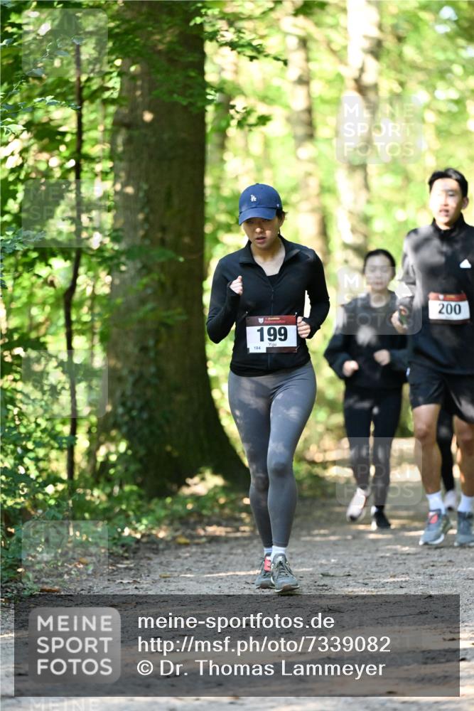 06.10.2024 - Bramfelder Halbmarathon 2024 Dr. Thomas Lammeyer http://msf.ph/oto/7339082 06.10.2024 10:30:09 Laufen 184, 199, 200 meine-sportfotos.de