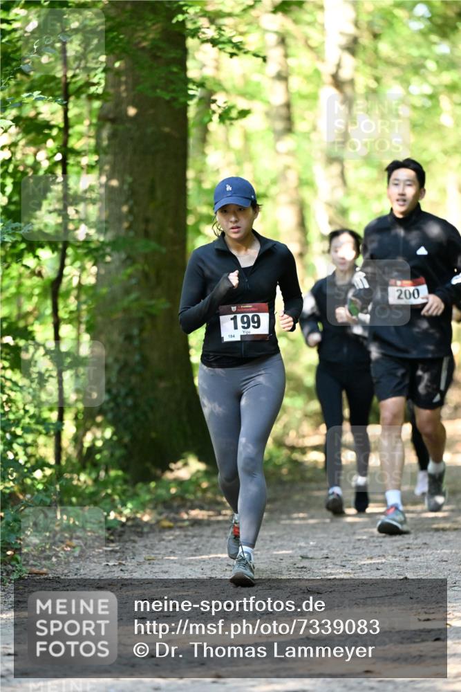 06.10.2024 - Bramfelder Halbmarathon 2024 Dr. Thomas Lammeyer http://msf.ph/oto/7339083 06.10.2024 10:30:09 Laufen 199, 184, 200 meine-sportfotos.de