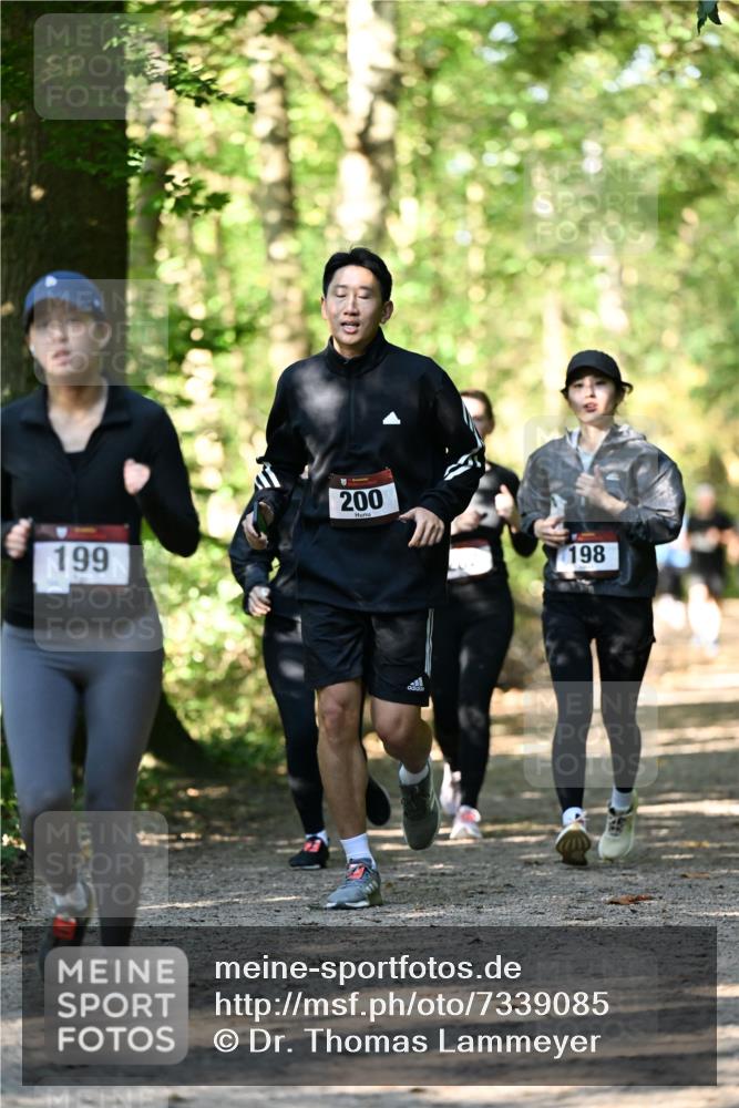 06.10.2024 - Bramfelder Halbmarathon 2024 Dr. Thomas Lammeyer http://msf.ph/oto/7339085 06.10.2024 10:30:10 Laufen 199, 200, 198 meine-sportfotos.de