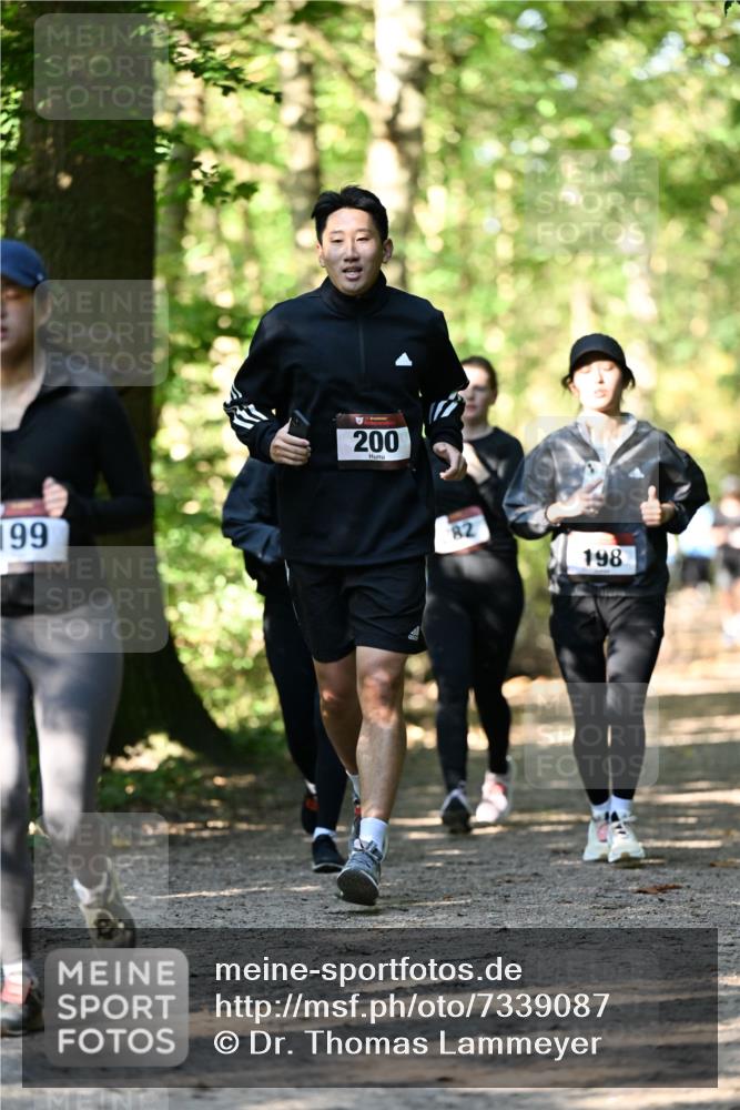 06.10.2024 - Bramfelder Halbmarathon 2024 Dr. Thomas Lammeyer http://msf.ph/oto/7339087 06.10.2024 10:30:10 Laufen 199, 200, 82, 198 meine-sportfotos.de
