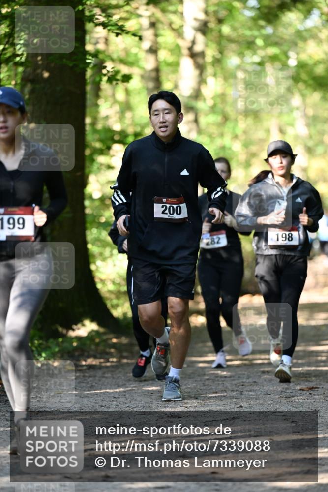 06.10.2024 - Bramfelder Halbmarathon 2024 Dr. Thomas Lammeyer http://msf.ph/oto/7339088 06.10.2024 10:30:10 Laufen 199, 200, 282, 198 meine-sportfotos.de