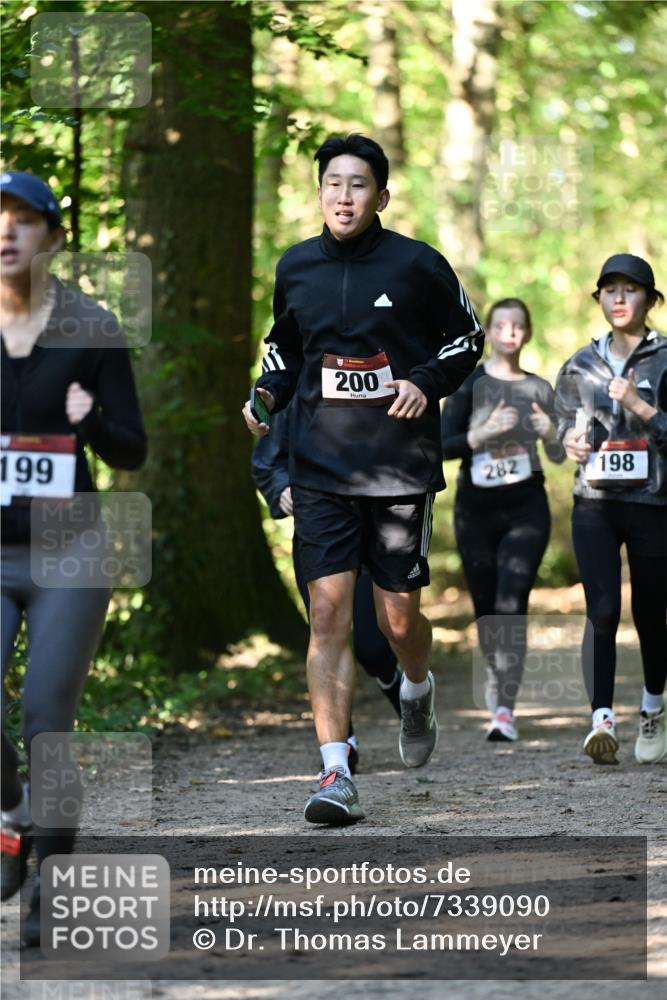 06.10.2024 - Bramfelder Halbmarathon 2024 Dr. Thomas Lammeyer http://msf.ph/oto/7339090 06.10.2024 10:30:11 Laufen 199, 200, 282, 198 meine-sportfotos.de