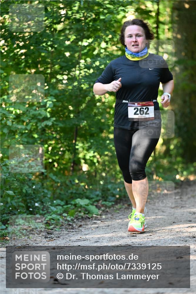 06.10.2024 - Bramfelder Halbmarathon 2024 Dr. Thomas Lammeyer http://msf.ph/oto/7339125 06.10.2024 10:30:27 Laufen 262 meine-sportfotos.de