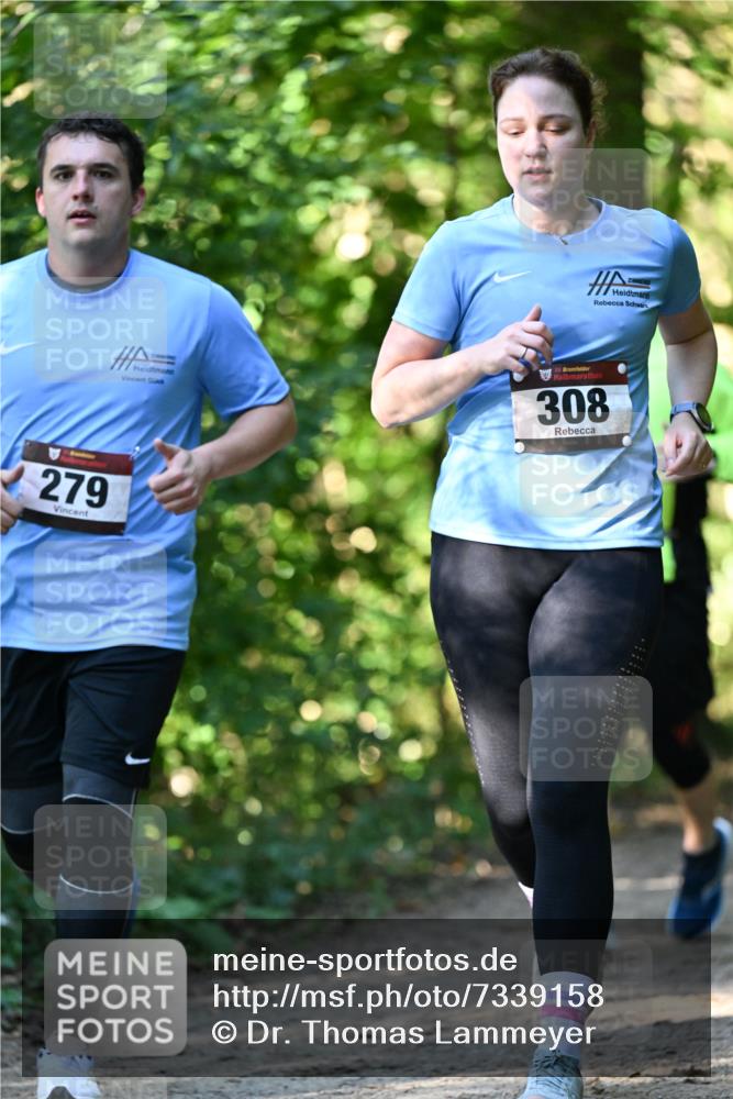 06.10.2024 - Bramfelder Halbmarathon 2024 Dr. Thomas Lammeyer http://msf.ph/oto/7339158 06.10.2024 10:30:37 Laufen 279, 33, 308 meine-sportfotos.de