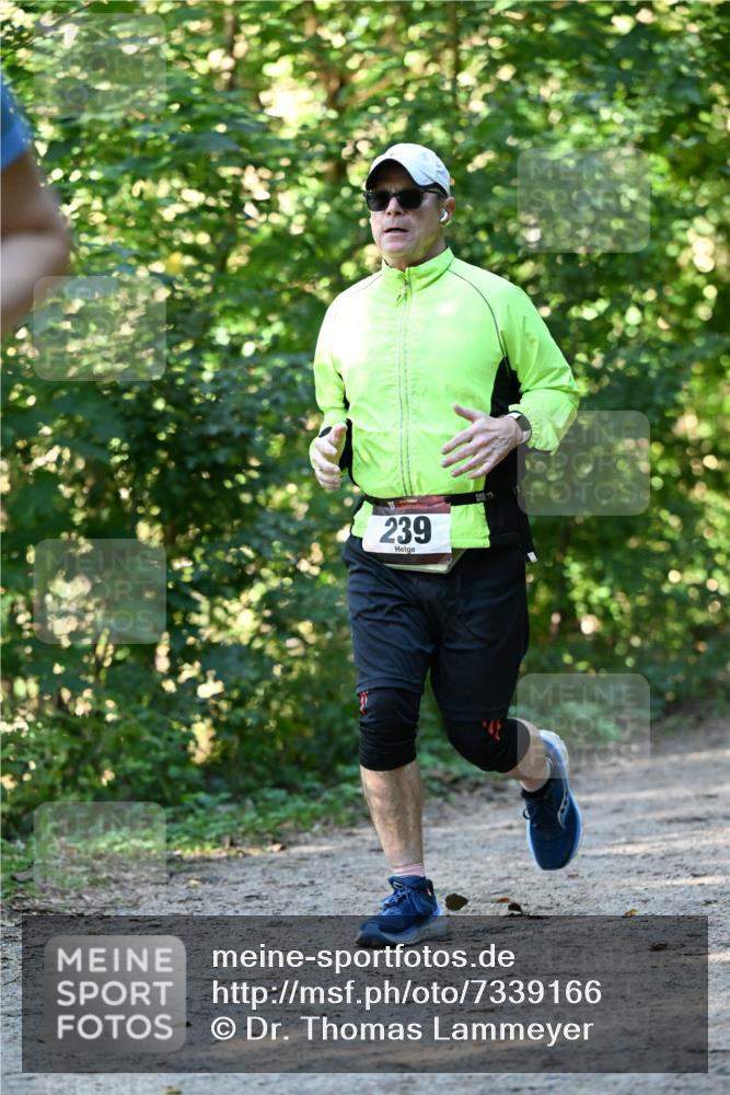 06.10.2024 - Bramfelder Halbmarathon 2024 Dr. Thomas Lammeyer http://msf.ph/oto/7339166 06.10.2024 10:30:40 Laufen 239 meine-sportfotos.de