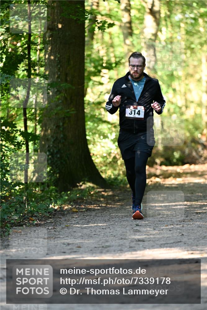 06.10.2024 - Bramfelder Halbmarathon 2024 Dr. Thomas Lammeyer http://msf.ph/oto/7339178 06.10.2024 10:30:49 Laufen 314, 180 meine-sportfotos.de