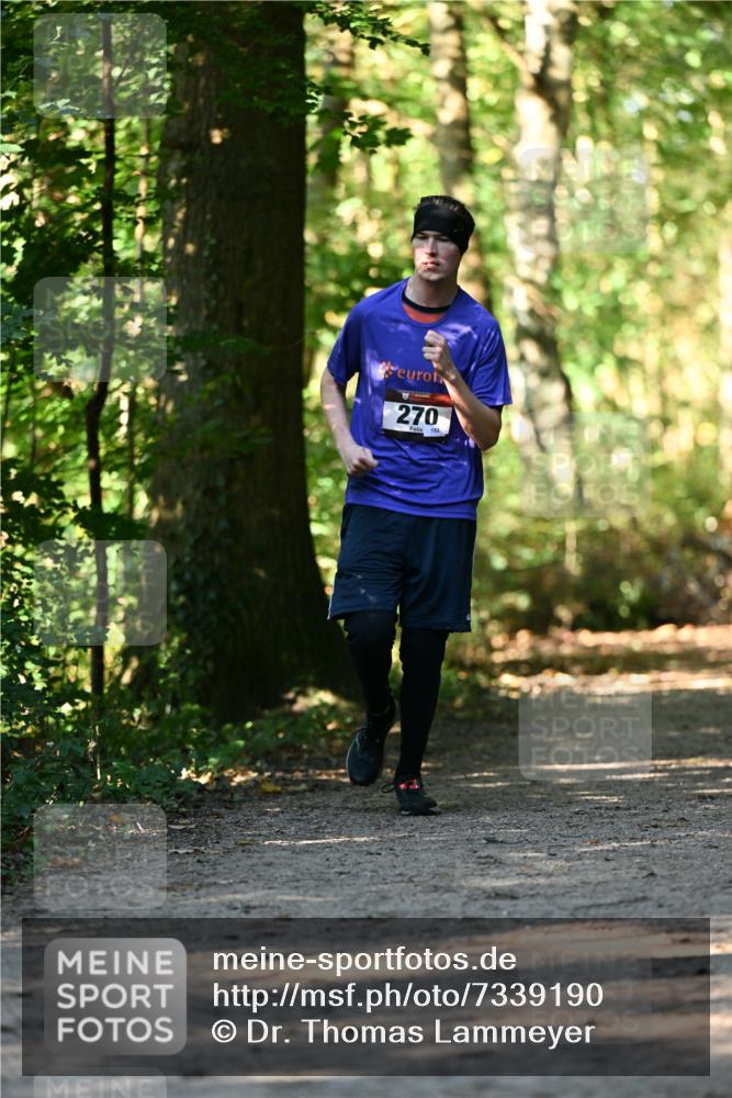 06.10.2024 - Bramfelder Halbmarathon 2024 Dr. Thomas Lammeyer http://msf.ph/oto/7339190 06.10.2024 10:30:55 Laufen 270, 153 meine-sportfotos.de
