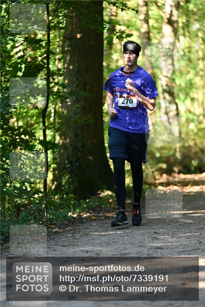 06.10.2024 - Bramfelder Halbmarathon 2024 Dr. Thomas Lammeyer http://msf.ph/oto/7339191 06.10.2024 10:30:55 Laufen 270, 153 meine-sportfotos.de