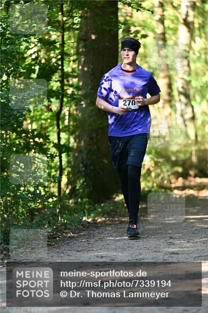 06.10.2024 - Bramfelder Halbmarathon 2024 Dr. Thomas Lammeyer http://msf.ph/oto/7339194 06.10.2024 10:30:55 Laufen 270, 153 meine-sportfotos.de
