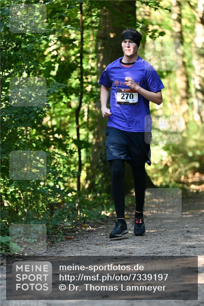 06.10.2024 - Bramfelder Halbmarathon 2024 Dr. Thomas Lammeyer http://msf.ph/oto/7339197 06.10.2024 10:30:56 Laufen 270, 153 meine-sportfotos.de