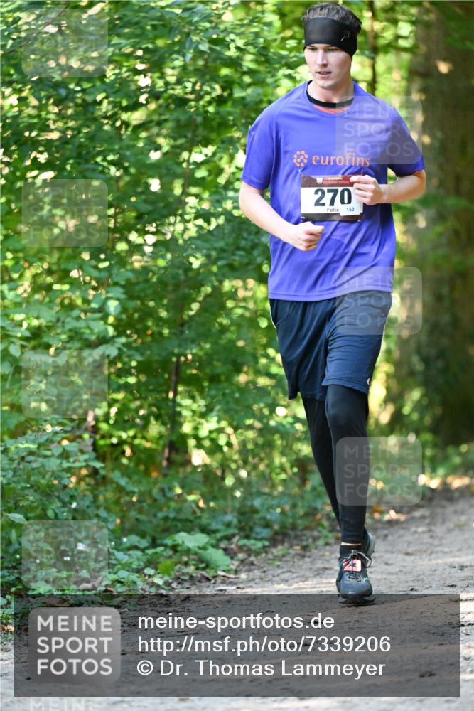 06.10.2024 - Bramfelder Halbmarathon 2024 Dr. Thomas Lammeyer http://msf.ph/oto/7339206 06.10.2024 10:30:57 Laufen 270, 153 meine-sportfotos.de