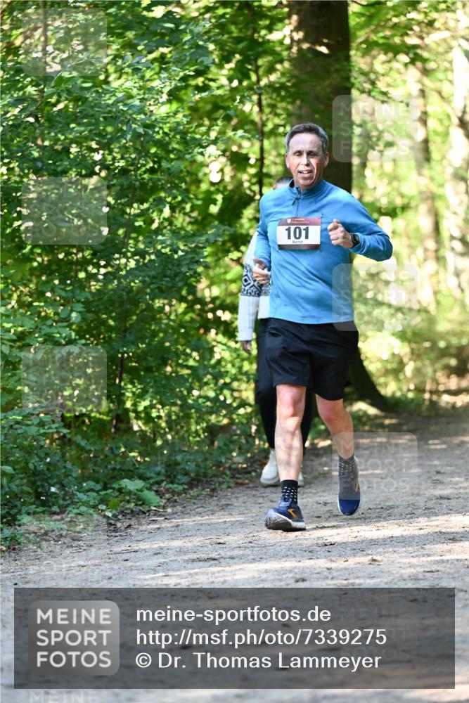 06.10.2024 - Bramfelder Halbmarathon 2024 Dr. Thomas Lammeyer http://msf.ph/oto/7339275 06.10.2024 10:31:34 Laufen 101 meine-sportfotos.de