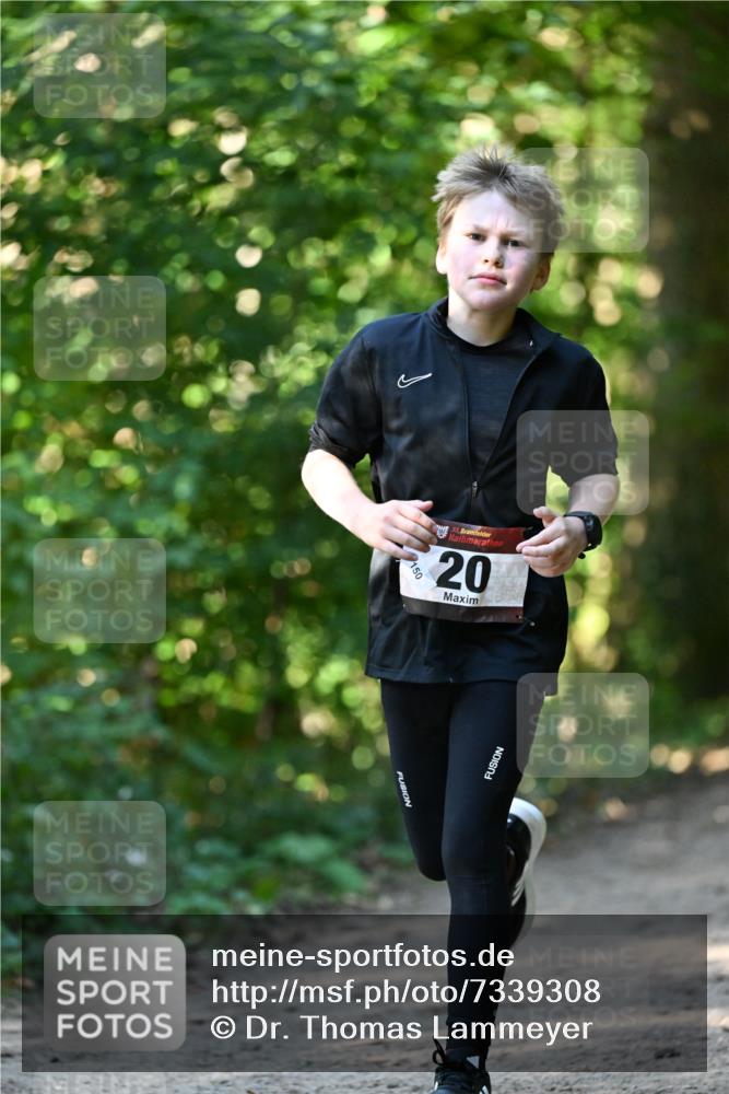 06.10.2024 - Bramfelder Halbmarathon 2024 Dr. Thomas Lammeyer http://msf.ph/oto/7339308 06.10.2024 10:31:51 Laufen 33, 20, 150 meine-sportfotos.de