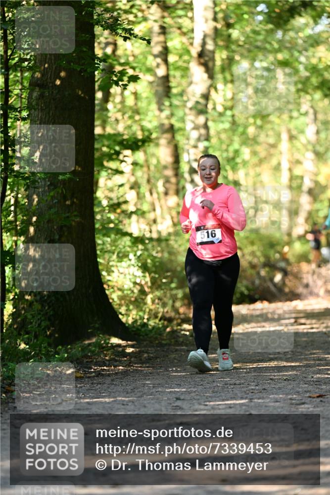 06.10.2024 - Bramfelder Halbmarathon 2024 Dr. Thomas Lammeyer http://msf.ph/oto/7339453 06.10.2024 10:33:06 Laufen 516 meine-sportfotos.de