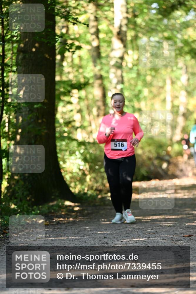 06.10.2024 - Bramfelder Halbmarathon 2024 Dr. Thomas Lammeyer http://msf.ph/oto/7339455 06.10.2024 10:33:07 Laufen 516 meine-sportfotos.de