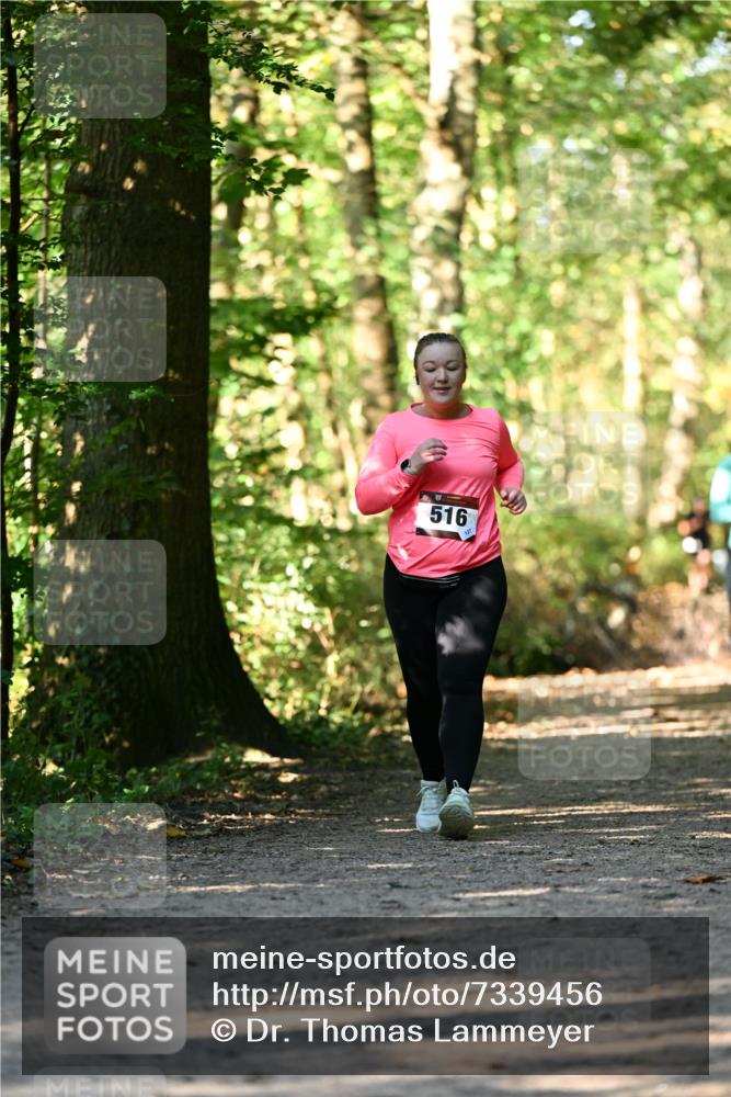 06.10.2024 - Bramfelder Halbmarathon 2024 Dr. Thomas Lammeyer http://msf.ph/oto/7339456 06.10.2024 10:33:07 Laufen 516 meine-sportfotos.de