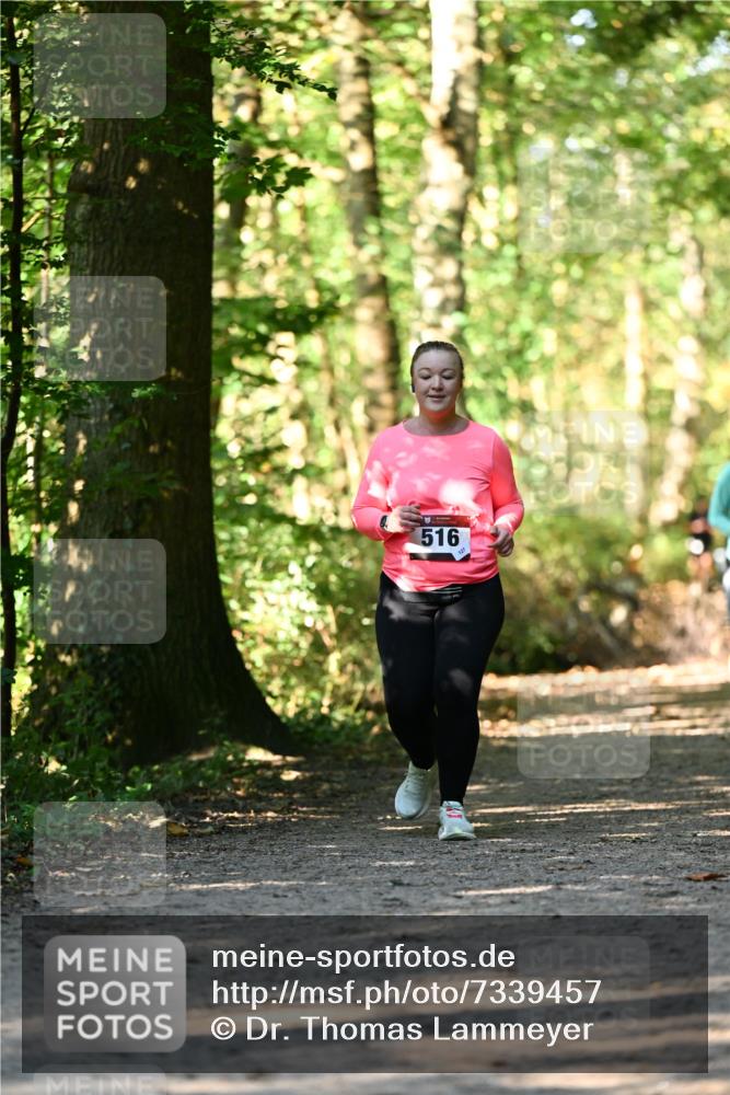 06.10.2024 - Bramfelder Halbmarathon 2024 Dr. Thomas Lammeyer http://msf.ph/oto/7339457 06.10.2024 10:33:07 Laufen 516 meine-sportfotos.de