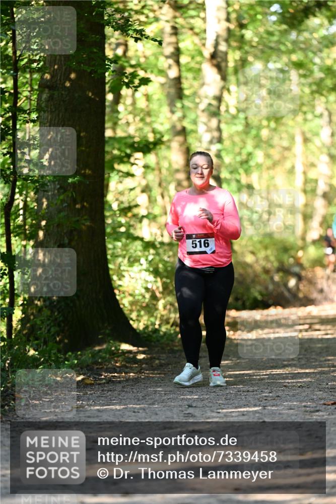 06.10.2024 - Bramfelder Halbmarathon 2024 Dr. Thomas Lammeyer http://msf.ph/oto/7339458 06.10.2024 10:33:07 Laufen 516 meine-sportfotos.de