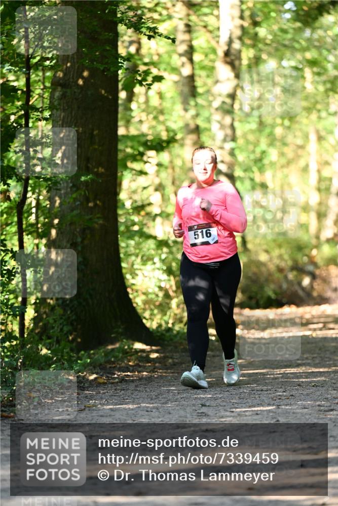 06.10.2024 - Bramfelder Halbmarathon 2024 Dr. Thomas Lammeyer http://msf.ph/oto/7339459 06.10.2024 10:33:07 Laufen 516 meine-sportfotos.de