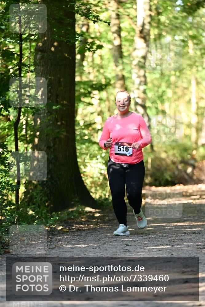 06.10.2024 - Bramfelder Halbmarathon 2024 Dr. Thomas Lammeyer http://msf.ph/oto/7339460 06.10.2024 10:33:07 Laufen 516 meine-sportfotos.de