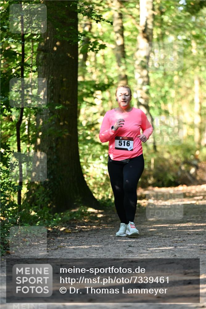 06.10.2024 - Bramfelder Halbmarathon 2024 Dr. Thomas Lammeyer http://msf.ph/oto/7339461 06.10.2024 10:33:08 Laufen 516 meine-sportfotos.de