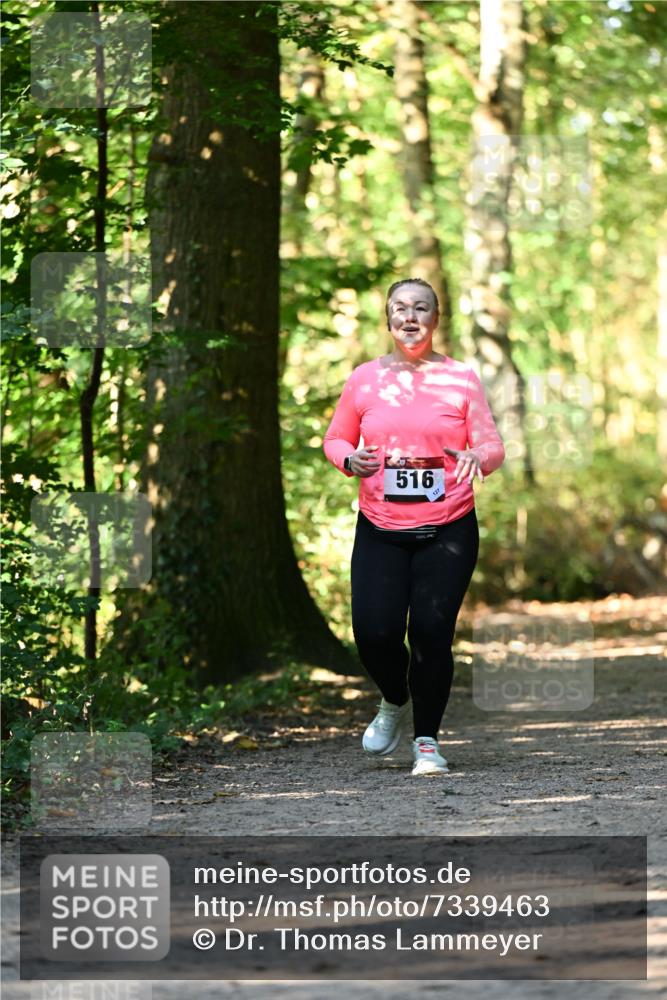 06.10.2024 - Bramfelder Halbmarathon 2024 Dr. Thomas Lammeyer http://msf.ph/oto/7339463 06.10.2024 10:33:08 Laufen 516 meine-sportfotos.de