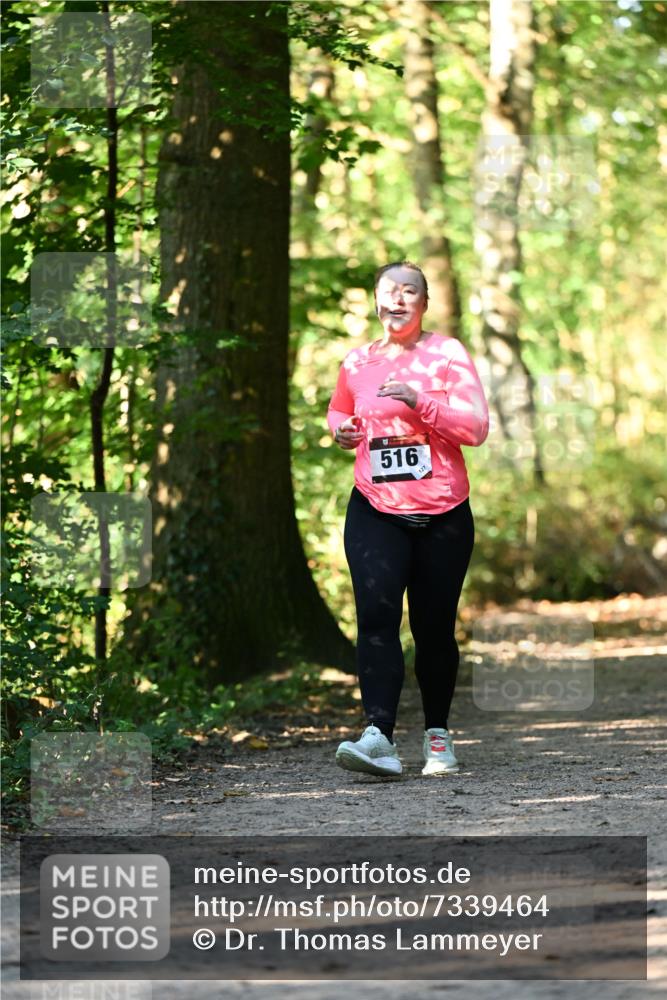 06.10.2024 - Bramfelder Halbmarathon 2024 Dr. Thomas Lammeyer http://msf.ph/oto/7339464 06.10.2024 10:33:08 Laufen 516, 127 meine-sportfotos.de