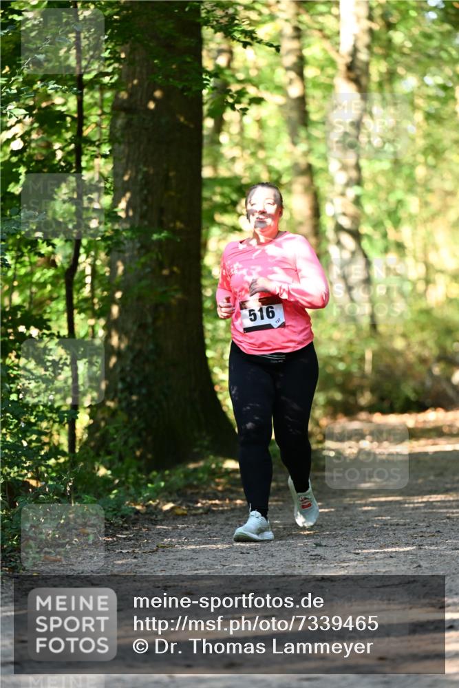 06.10.2024 - Bramfelder Halbmarathon 2024 Dr. Thomas Lammeyer http://msf.ph/oto/7339465 06.10.2024 10:33:08 Laufen 516, 127 meine-sportfotos.de