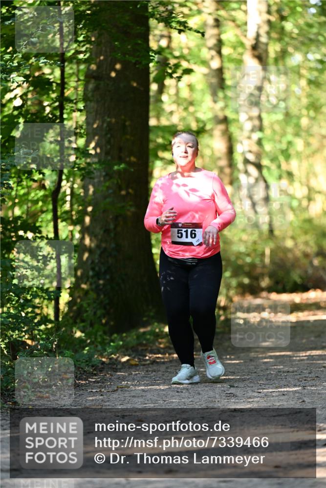 06.10.2024 - Bramfelder Halbmarathon 2024 Dr. Thomas Lammeyer http://msf.ph/oto/7339466 06.10.2024 10:33:08 Laufen 516, 127 meine-sportfotos.de