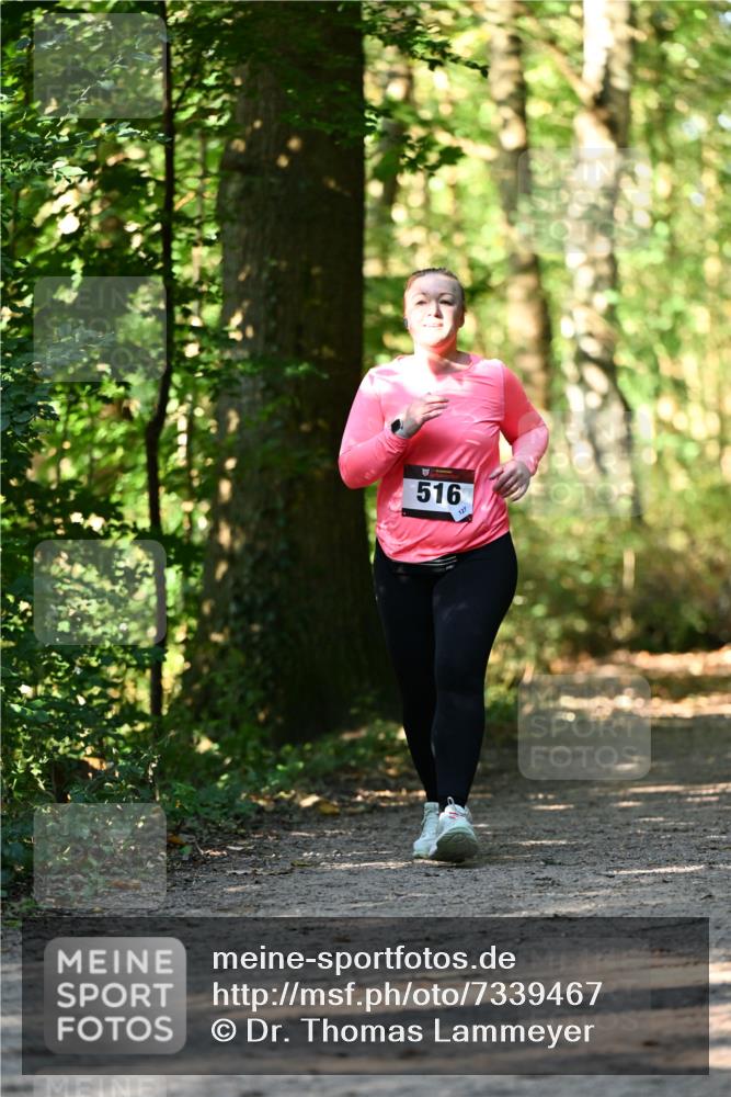 06.10.2024 - Bramfelder Halbmarathon 2024 Dr. Thomas Lammeyer http://msf.ph/oto/7339467 06.10.2024 10:33:08 Laufen 516, 127 meine-sportfotos.de