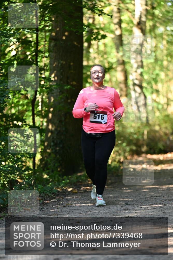 06.10.2024 - Bramfelder Halbmarathon 2024 Dr. Thomas Lammeyer http://msf.ph/oto/7339468 06.10.2024 10:33:08 Laufen 516 meine-sportfotos.de