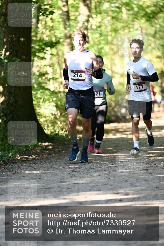 06.10.2024 - Bramfelder Halbmarathon 2024 Dr. Thomas Lammeyer http://msf.ph/oto/7339527 06.10.2024 10:34:25 Laufen 214, 21, 177 meine-sportfotos.de